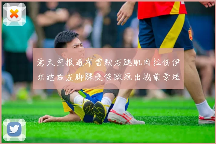 意天空报道布雷默右腿肌肉拉伤伊尔迪兹左脚踝受伤欧冠出战前景堪忧