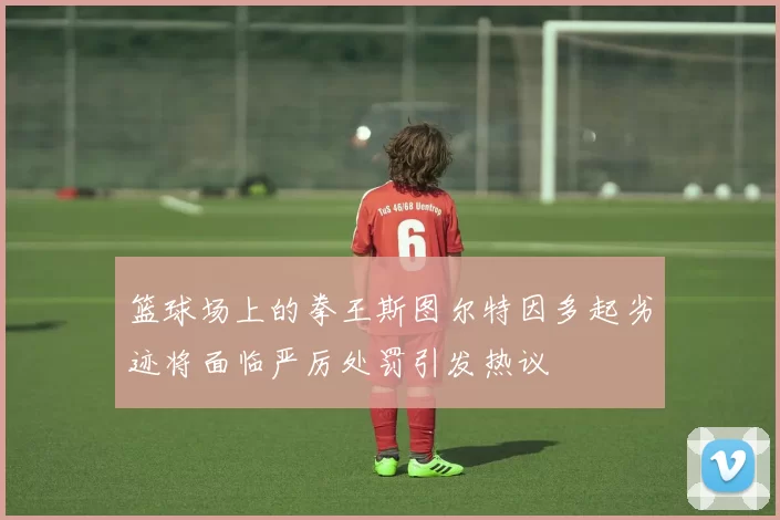 篮球场上的拳王斯图尔特因多起劣迹将面临严厉处罚引发热议